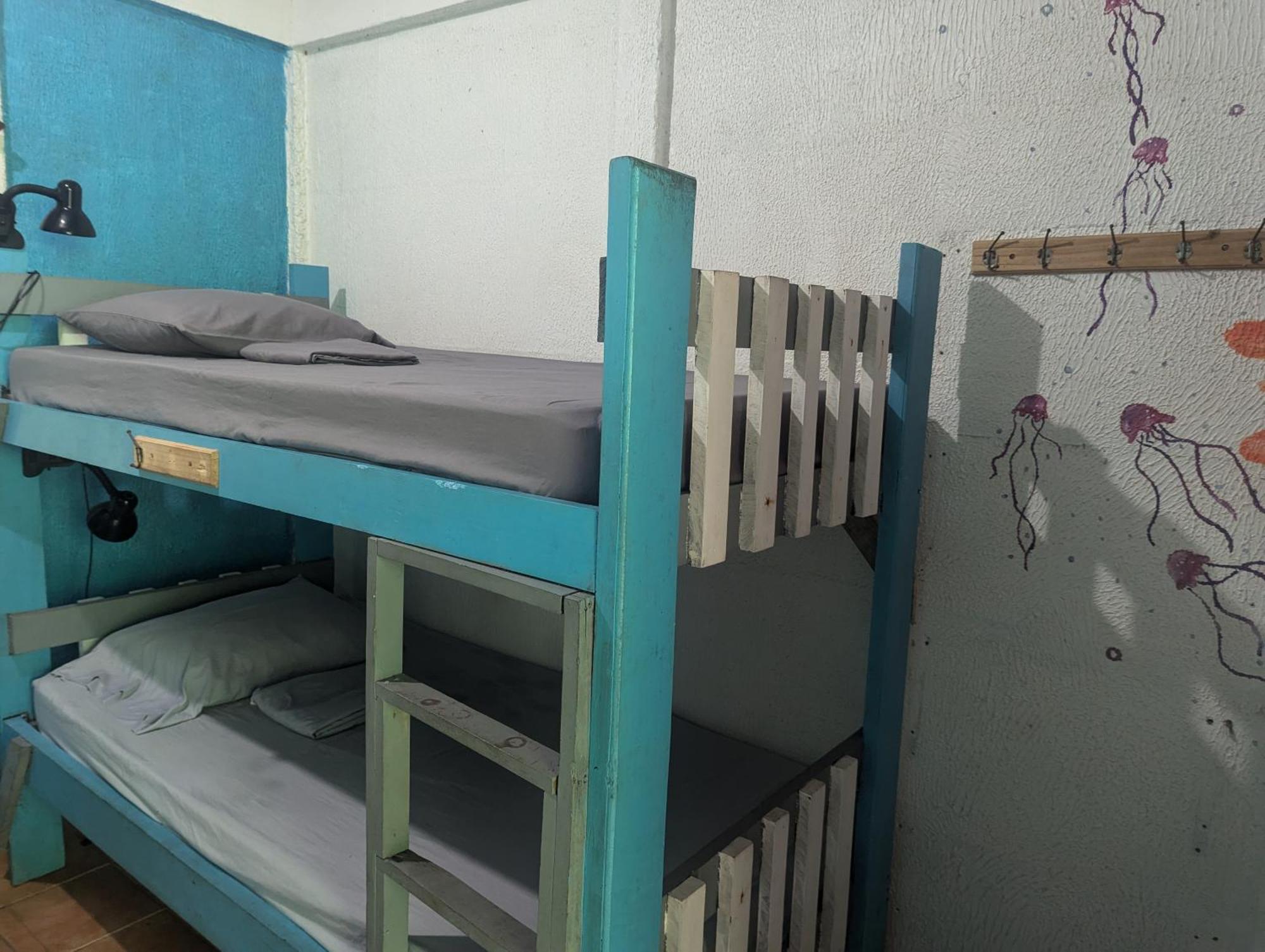 Tasty Dayz Hostel Puerto Viejo de Talamanca Zewnętrze zdjęcie
