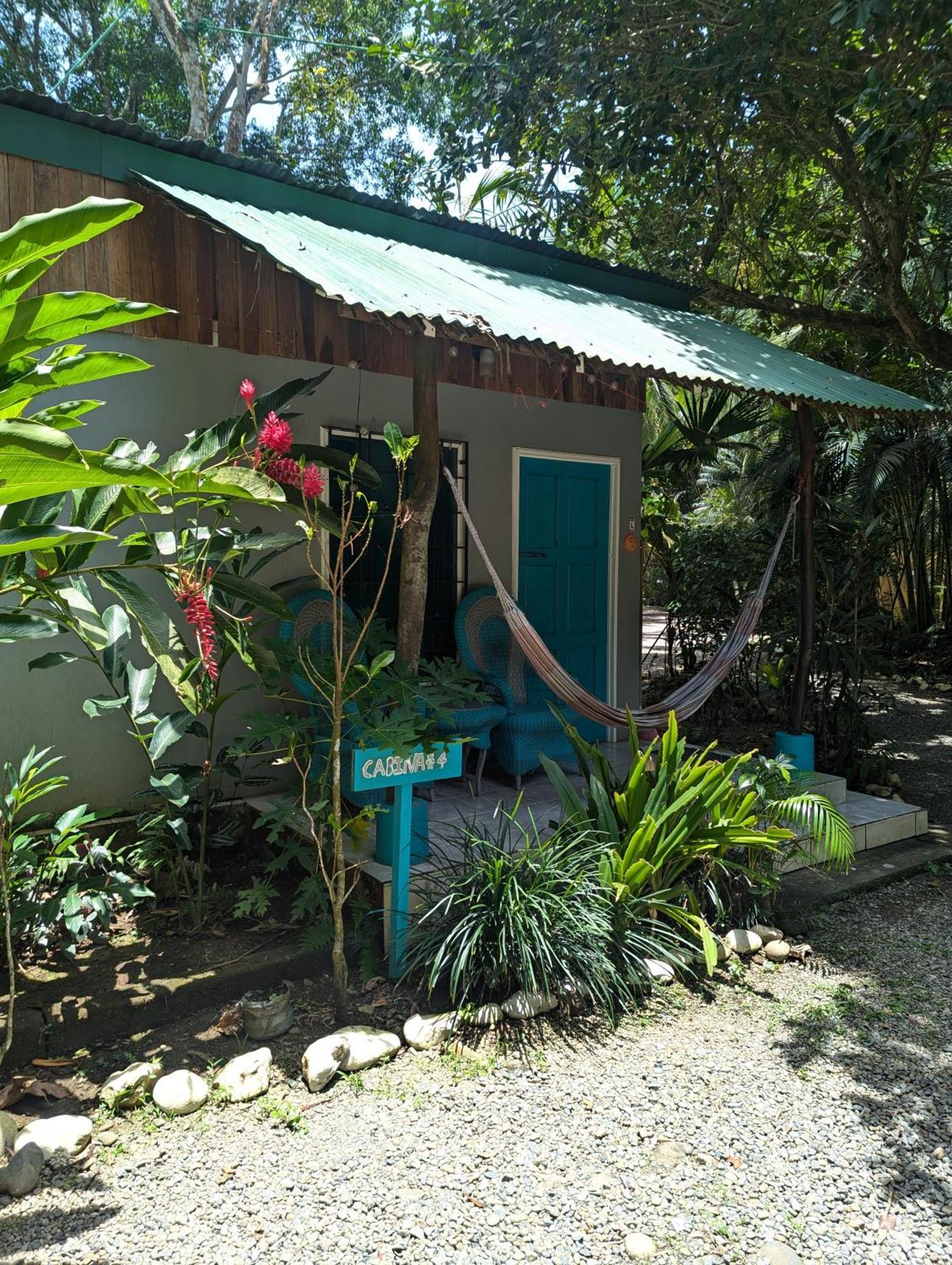 Tasty Dayz Hostel Puerto Viejo de Talamanca Zewnętrze zdjęcie