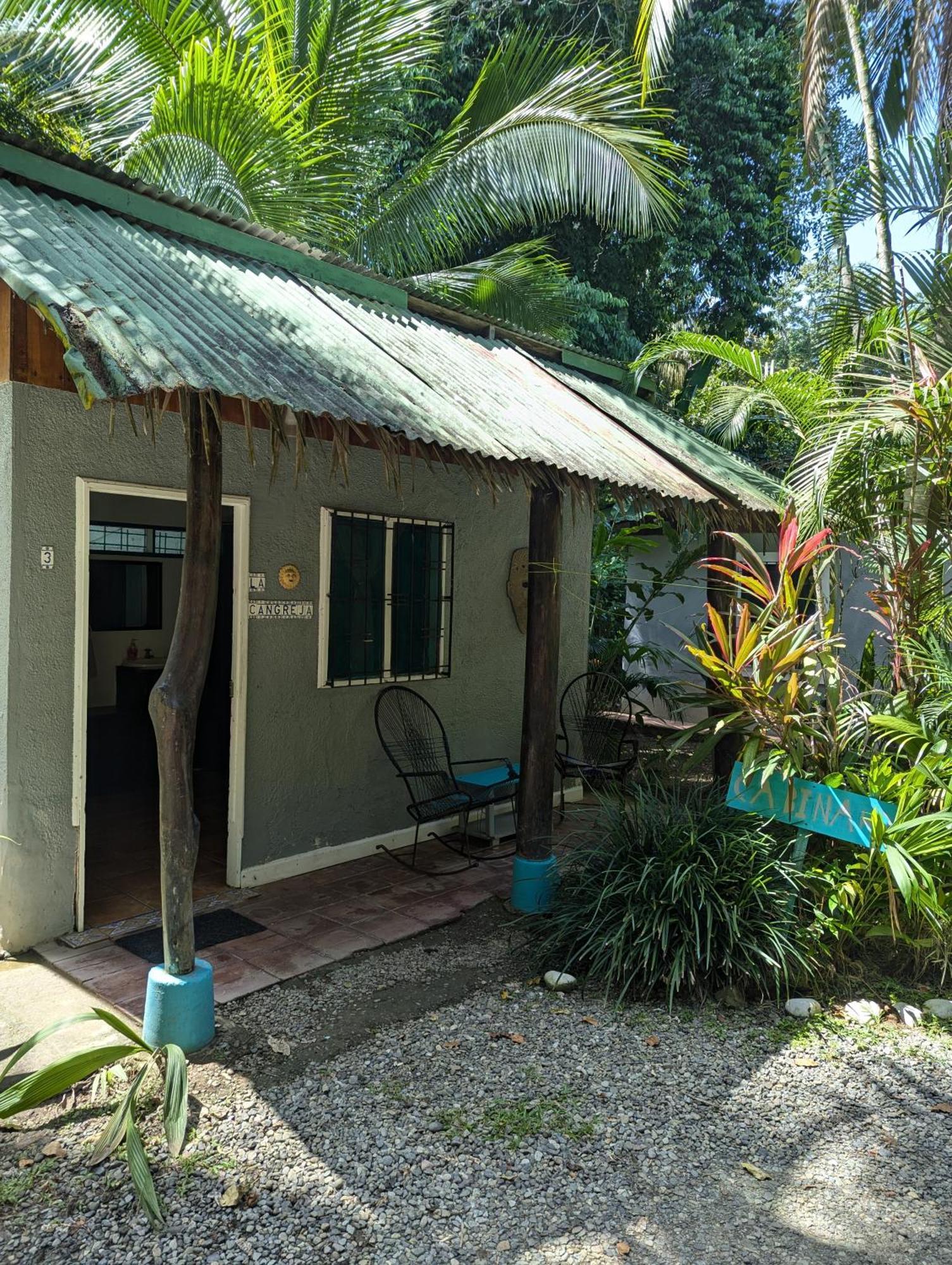 Tasty Dayz Hostel Puerto Viejo de Talamanca Zewnętrze zdjęcie