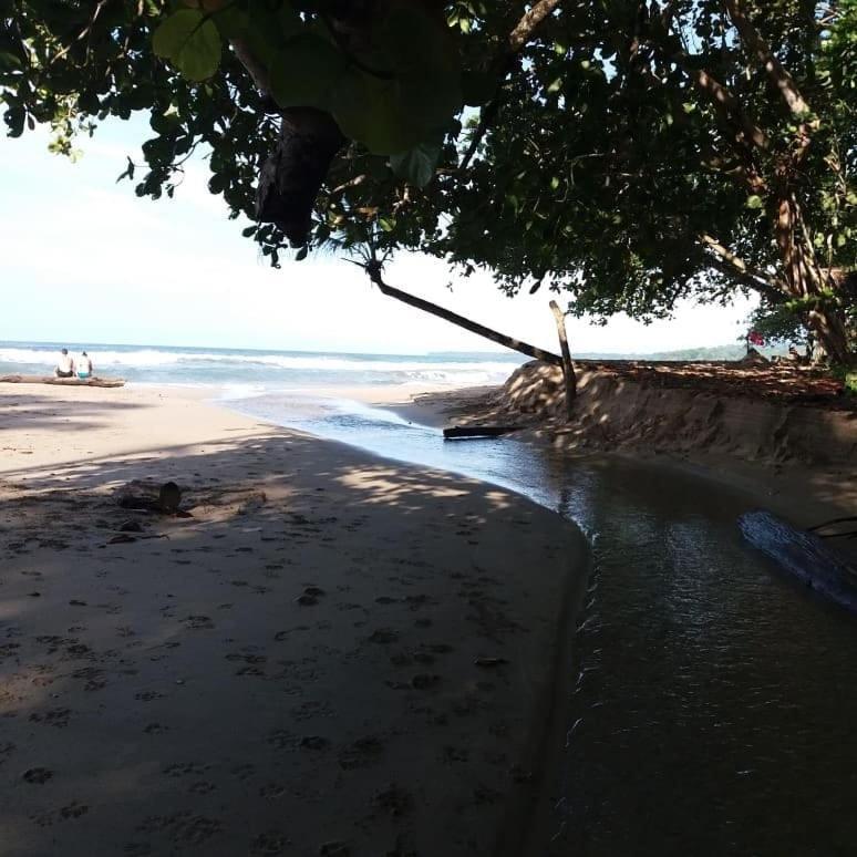 Tasty Dayz Hostel Puerto Viejo de Talamanca Zewnętrze zdjęcie