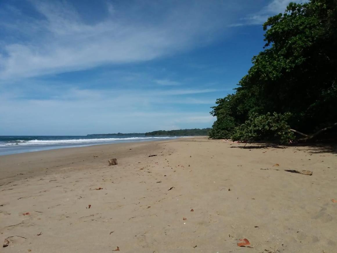 Tasty Dayz Hostel Puerto Viejo de Talamanca Zewnętrze zdjęcie