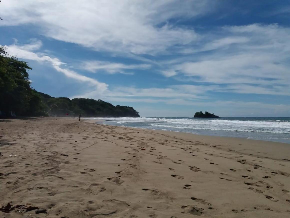 Tasty Dayz Hostel Puerto Viejo de Talamanca Zewnętrze zdjęcie
