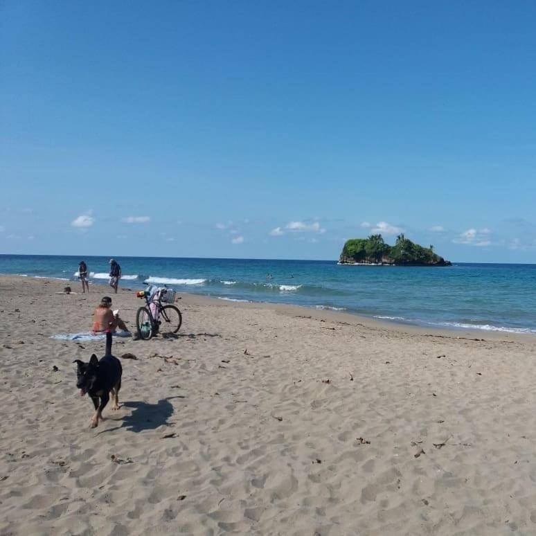 Tasty Dayz Hostel Puerto Viejo de Talamanca Zewnętrze zdjęcie