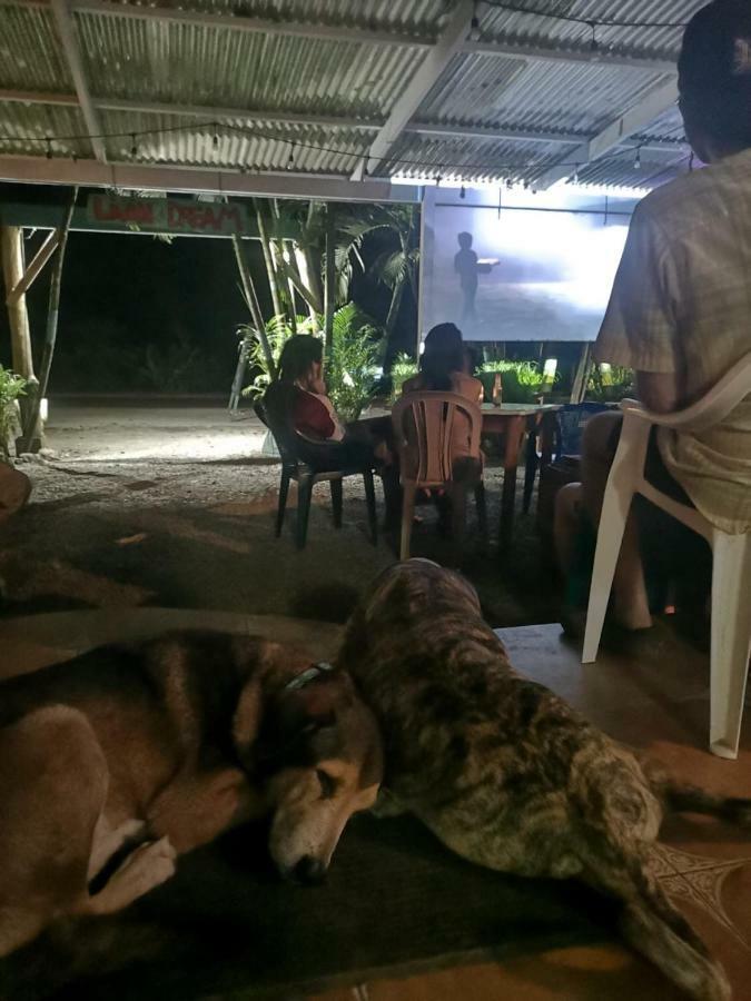 Tasty Dayz Hostel Puerto Viejo de Talamanca Zewnętrze zdjęcie