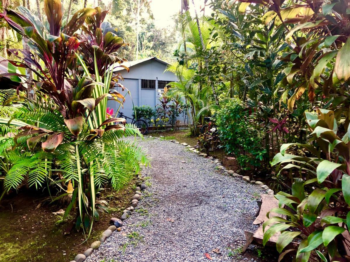 Tasty Dayz Hostel Puerto Viejo de Talamanca Zewnętrze zdjęcie