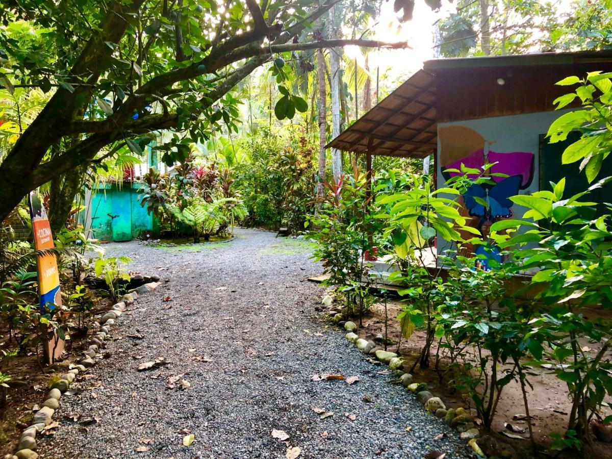 Tasty Dayz Hostel Puerto Viejo de Talamanca Zewnętrze zdjęcie