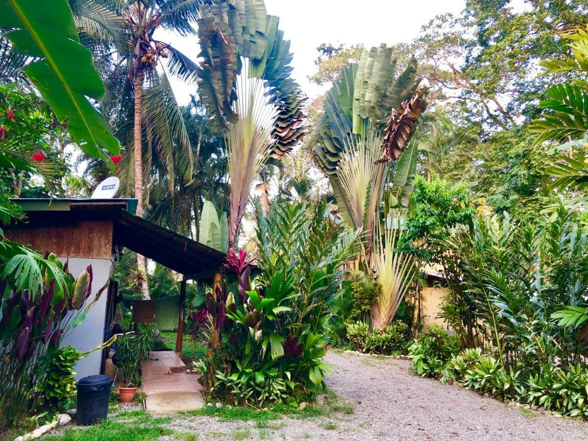 Tasty Dayz Hostel Puerto Viejo de Talamanca Zewnętrze zdjęcie