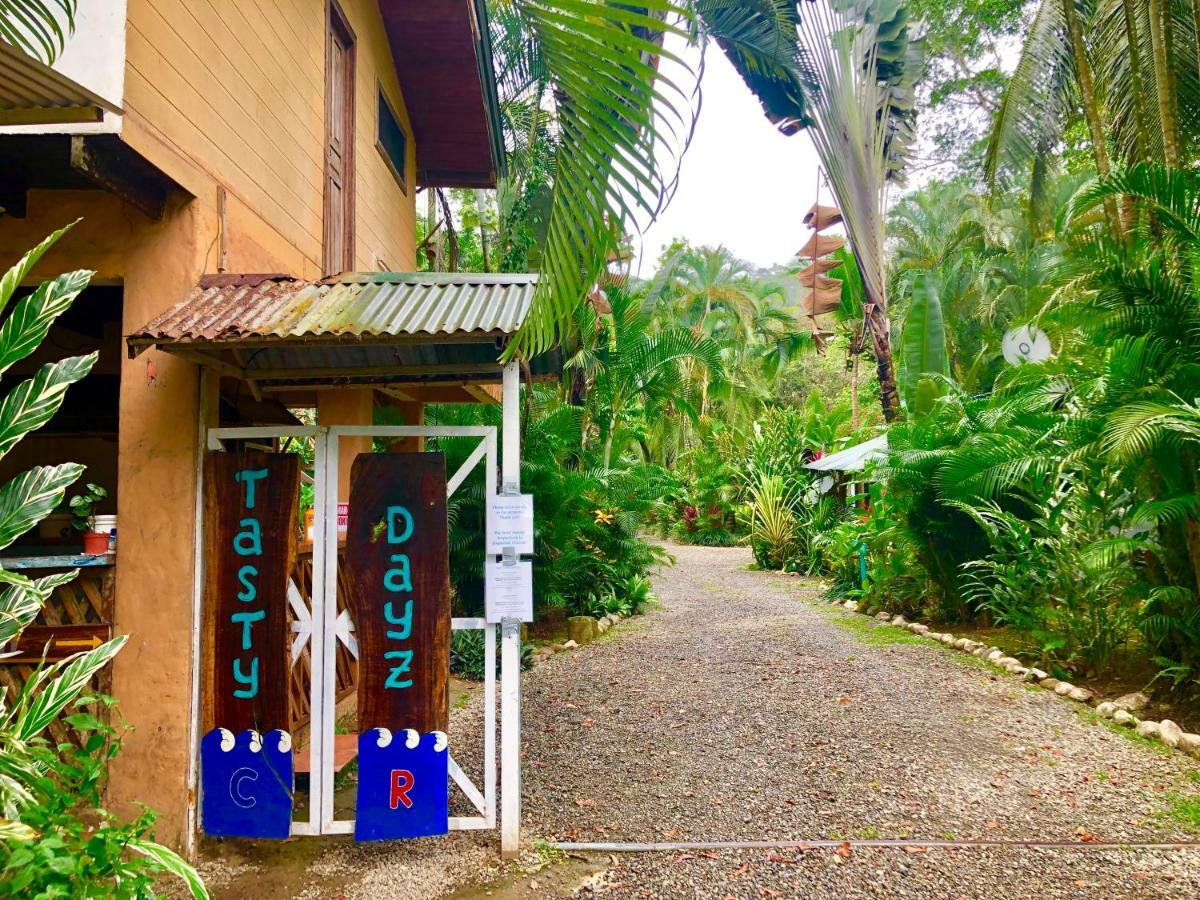 Tasty Dayz Hostel Puerto Viejo de Talamanca Zewnętrze zdjęcie