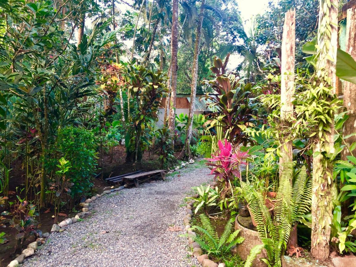 Tasty Dayz Hostel Puerto Viejo de Talamanca Zewnętrze zdjęcie